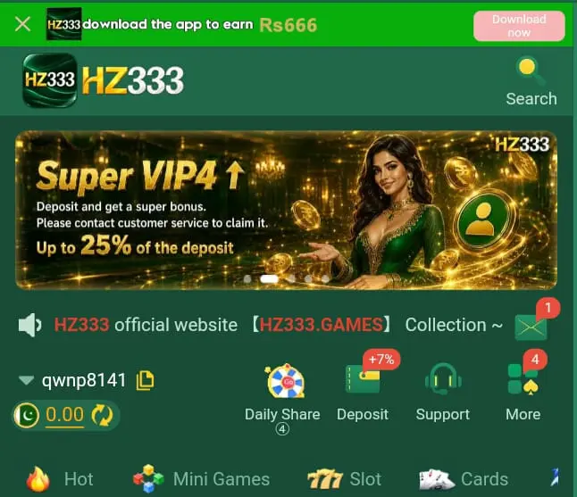 HZ333 Game APK