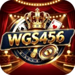 WGS456 Game