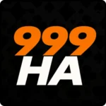 HA999 Game