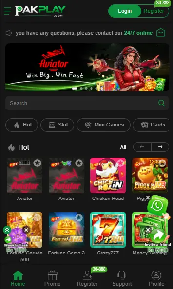 PAKPlay Game APK (1)